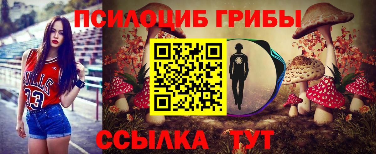 Псилоцибиновые грибы MAGIC MUSHROOMS  цена наркотик  Дивногорск  Вход с VPN 